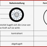 Bau Des Herzens Arbeitsblatt Schroedel