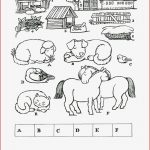 Bauernhof – Wo Schlafen Tiere Rätsel