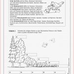 Baum Und Wald Als Lebensraum – Unterrichtsmaterial In Den