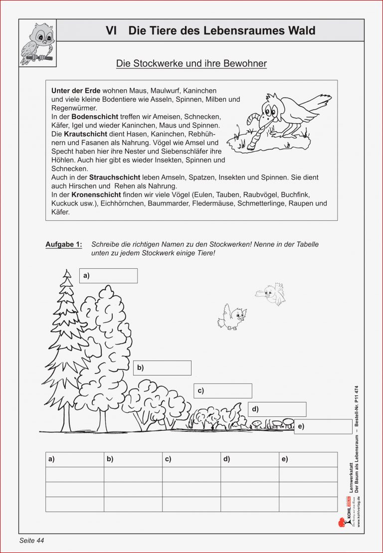 Baum Und Wald Als Lebensraum – Unterrichtsmaterial In Den