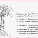 Baumentwicklung Allgemein