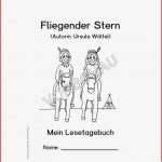 Begleitmaterial Zum Buch "fliegender Stern" Von Ursula
