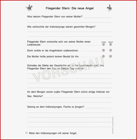 Begleitmaterial Zum Buch "fliegender Stern" Von Ursula