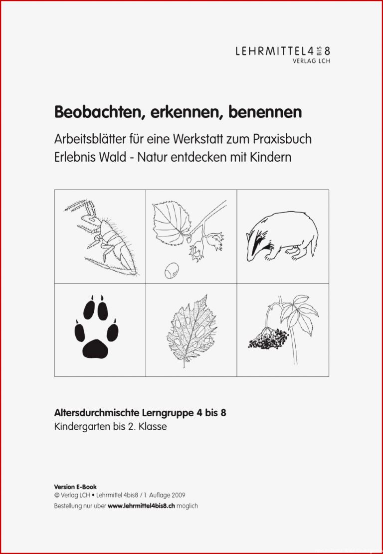 Beobachten Erkennen Benennen by Lehrmittel 4bis8 issuu