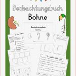 Beobachtungsbuch Bohne Kopiervorlagen