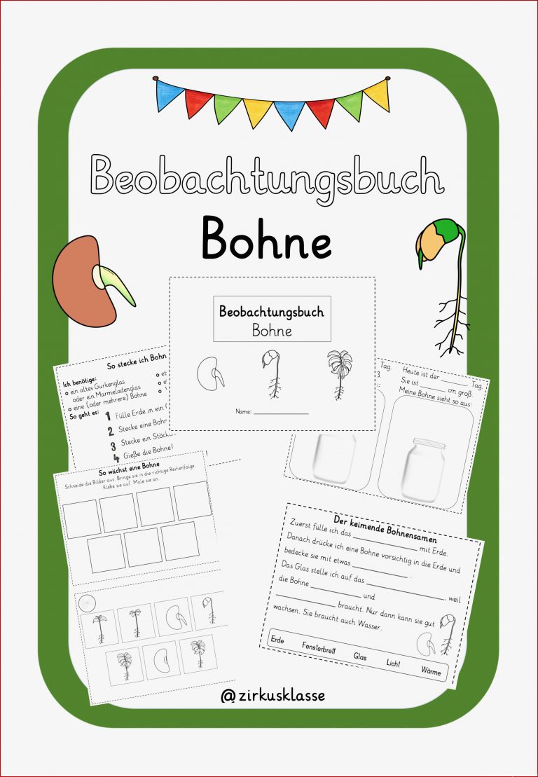 Beobachtungsbuch Bohne Kopiervorlagen