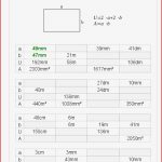 Berechnungen Am Rechteck Klasse 7 8 Kostenloses