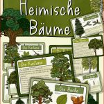 Bestimmungskartei Heimische Bäume Wissenskarte