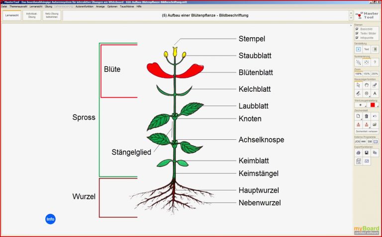 Bg Mastertool themenpaket Biologie Pflanzenkunde 1