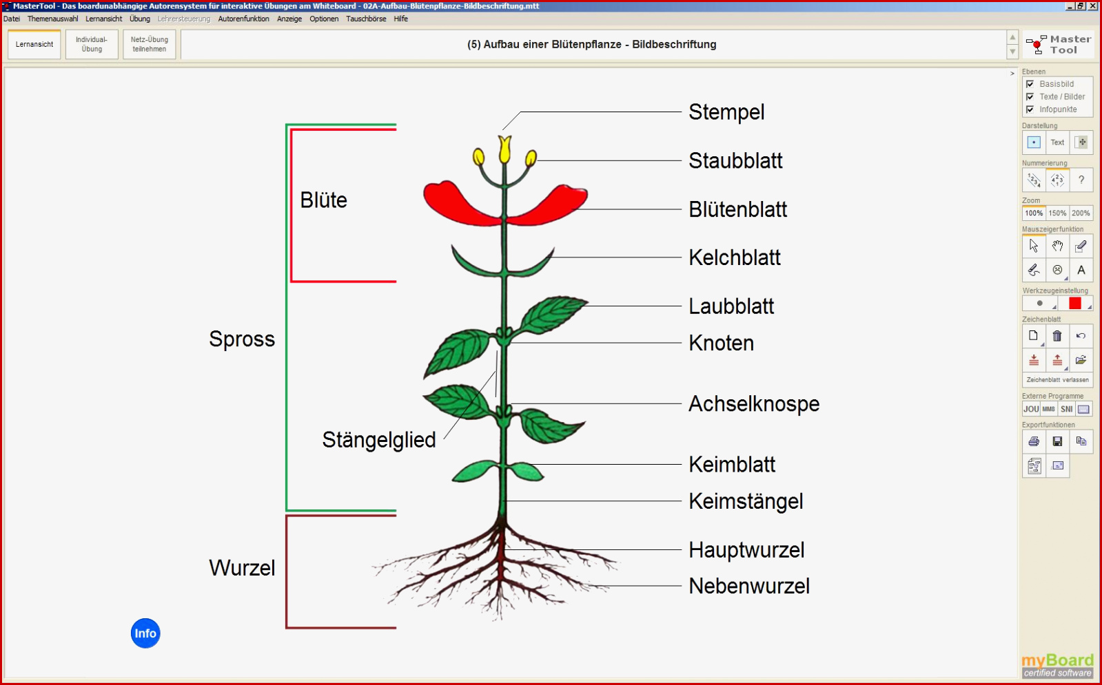 Bg Mastertool themenpaket Biologie Pflanzenkunde 1