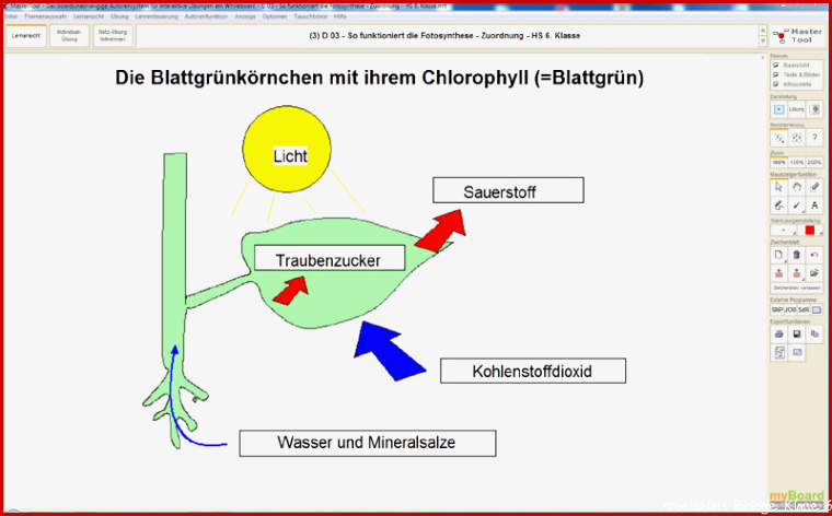 BG Mastertool Themenpaket: Hauptschule Biologie Kl. 8 und 9 EL