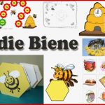 Bienen Kindergarten and Kita Ideen Spiele Lieder Und
