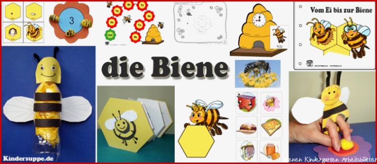 Bienen Kindergarten and Kita Ideen Spiele Lieder Und
