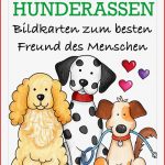 Bildkarten Hunde Hunderassen – Unterrichtsmaterial In