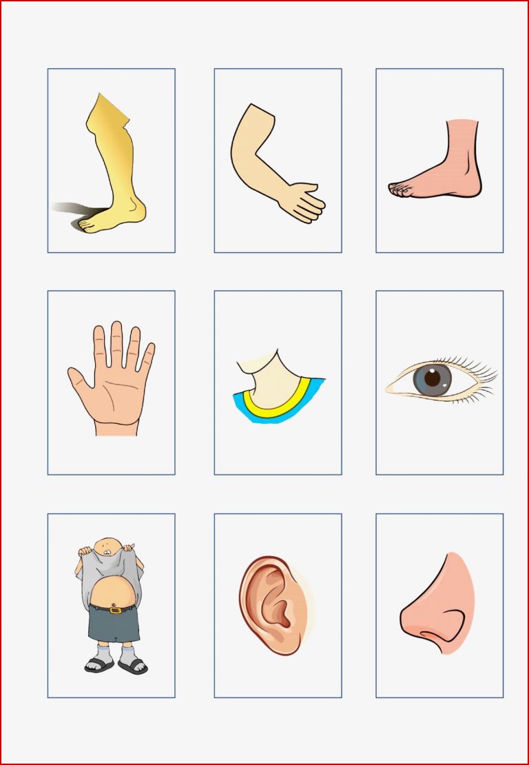 Bildkarten Körperteile 2 Kommunikation Sprache