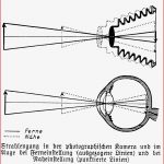 Bildvielheiten