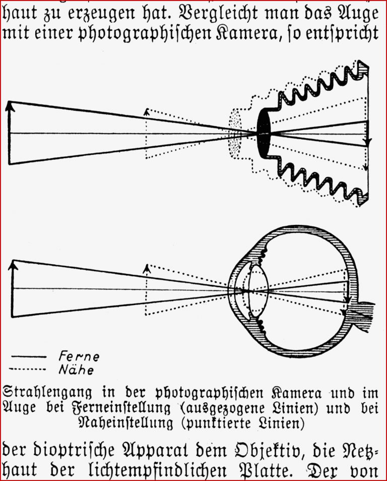 Bildvielheiten