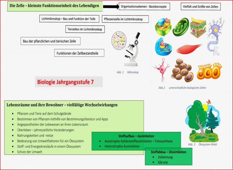 Biologie