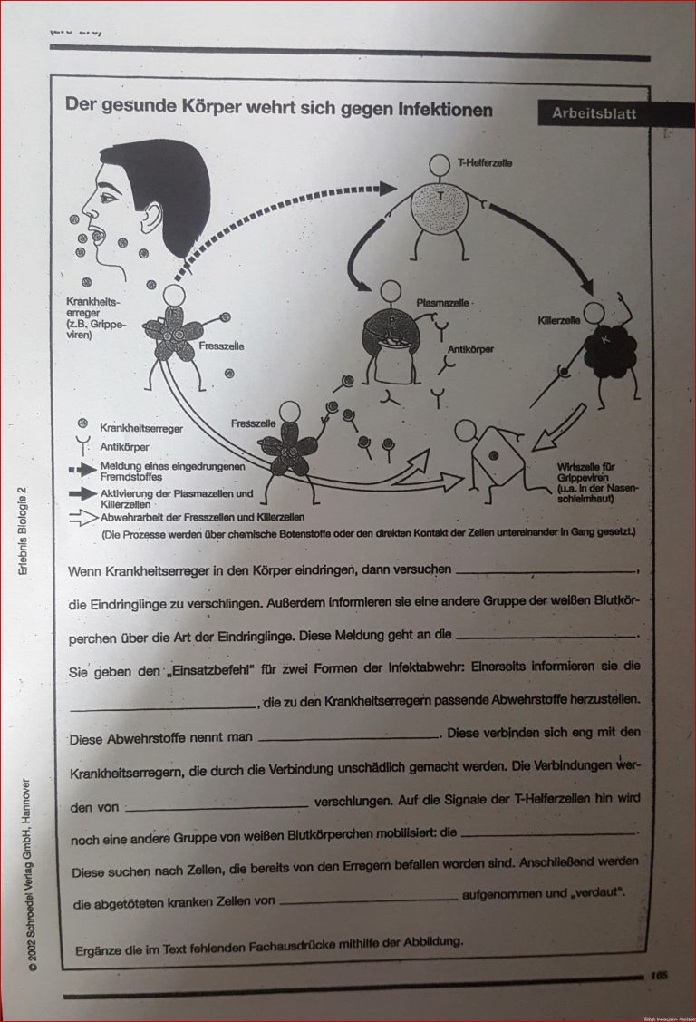 Biologie 10 Klasse Was kommt in Lücken Schule