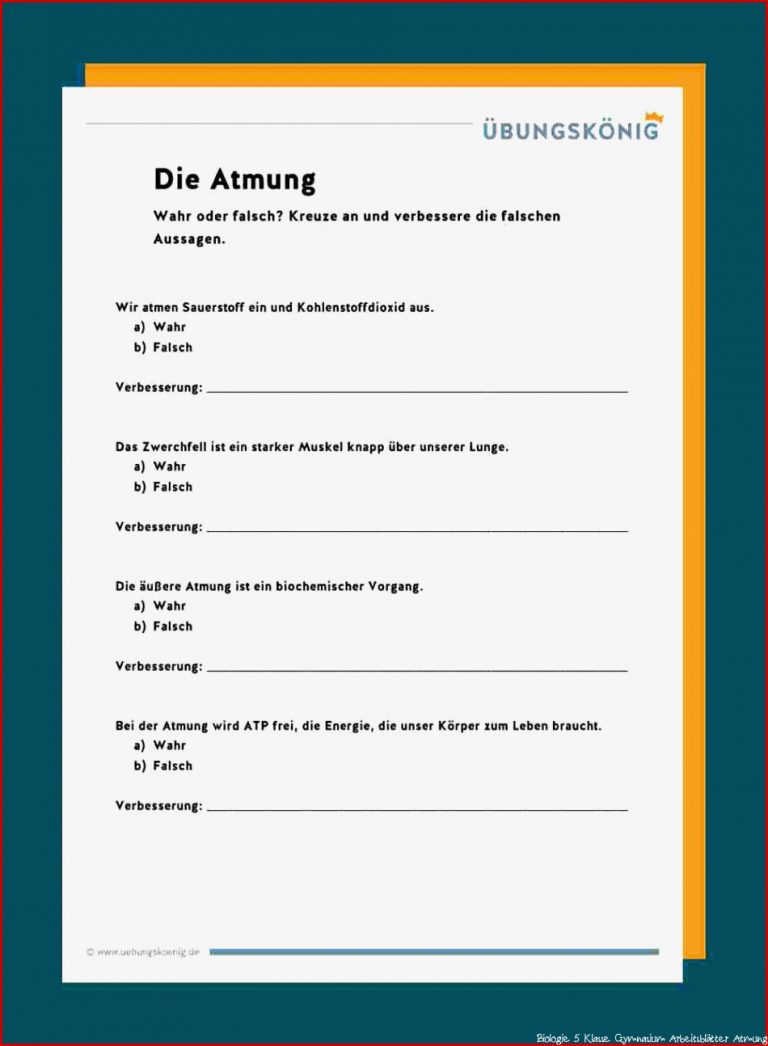 Biologie 5 Klasse Gymnasium Arbeitsblätter Atmung Mark