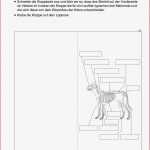 Biologie 5 Klasse Gymnasium Arbeitsblätter Neue