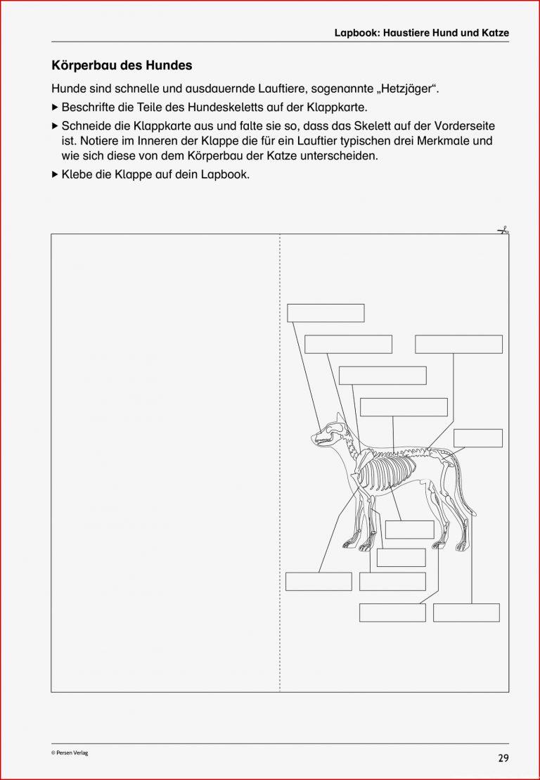 Biologie 5 Klasse Gymnasium Arbeitsblätter Neue