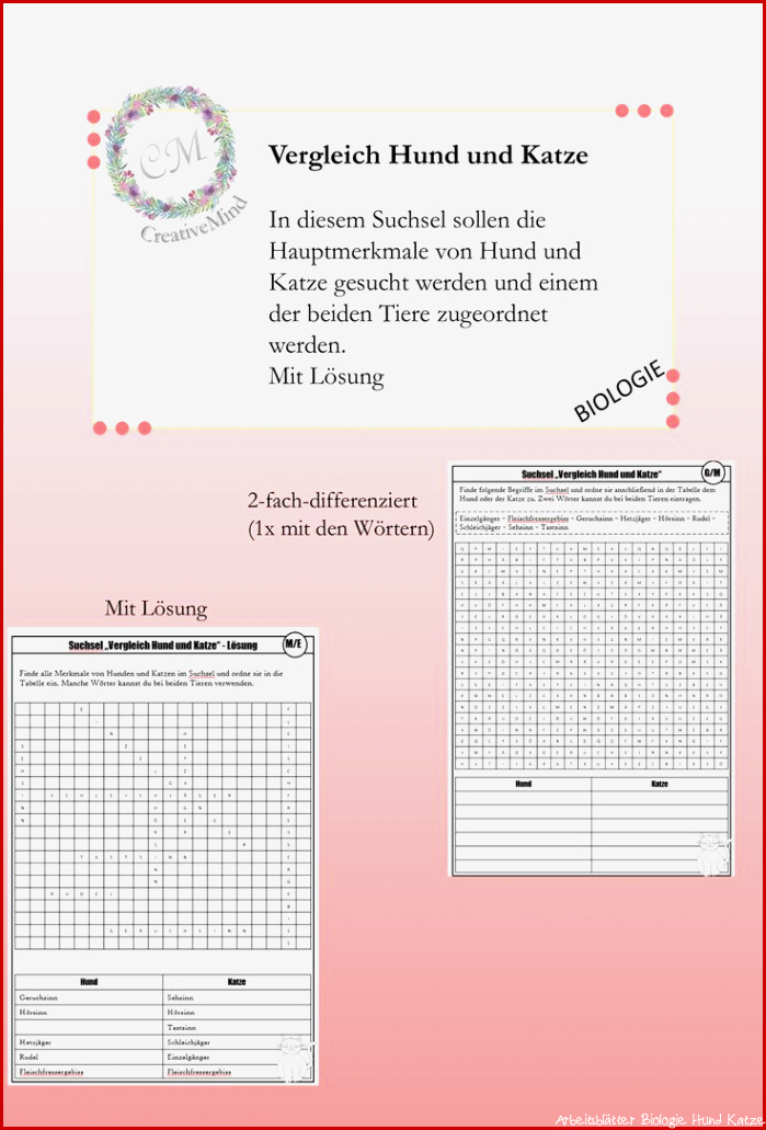Biologie 5 Klasse Gymnasium Katze Arbeitsblätter Dorothy