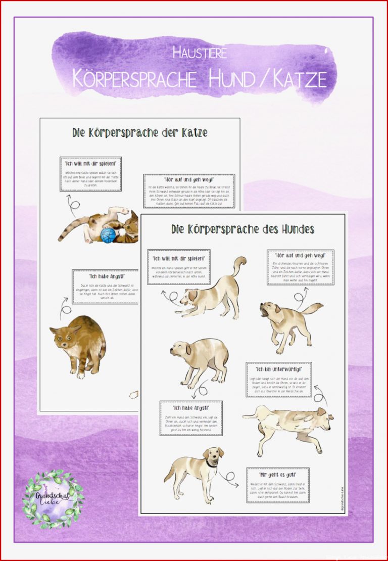 Biologie 5 Klasse Gymnasium Katze Arbeitsblätter Dorothy