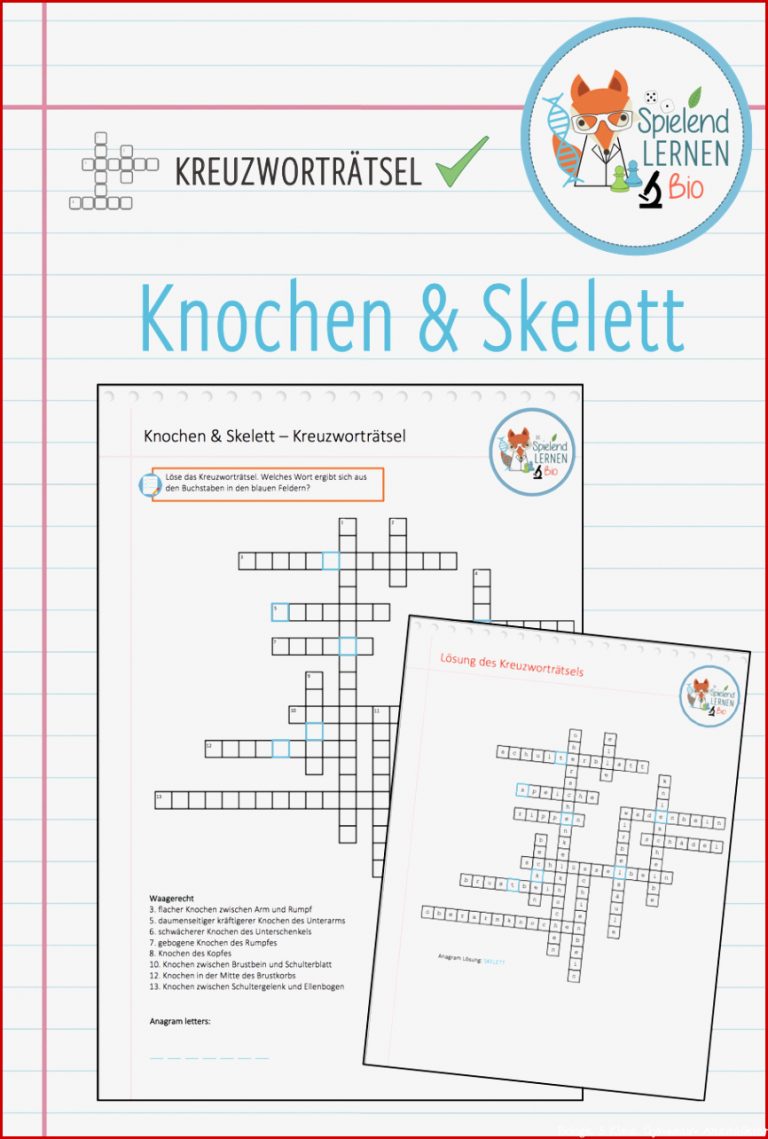 Biologie 5 Klasse Gymnasium Skelett Arbeitsblätter