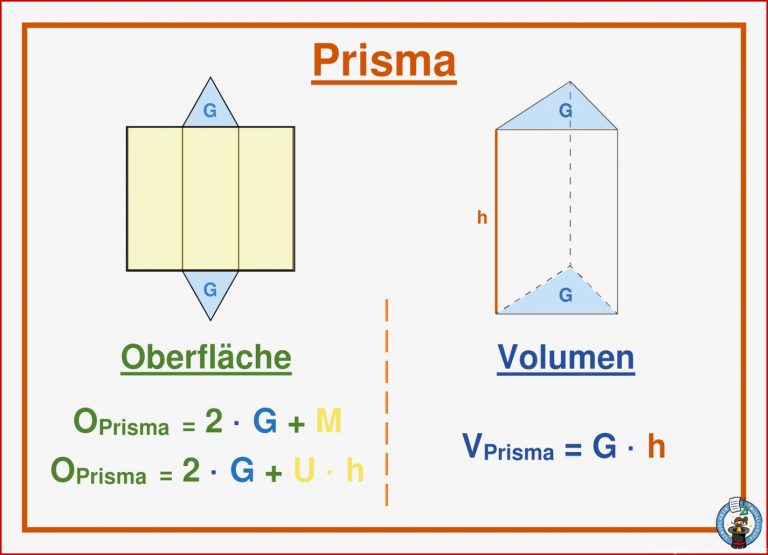 Biologie 5 Klasse Gymnasium Skelett Arbeitsblätter