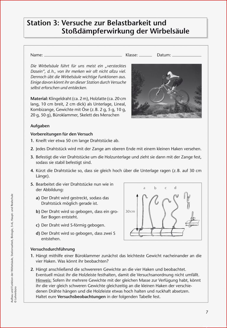 Biologie · Arbeitsblätter · Haupt & Realschule · Lehrerbüro