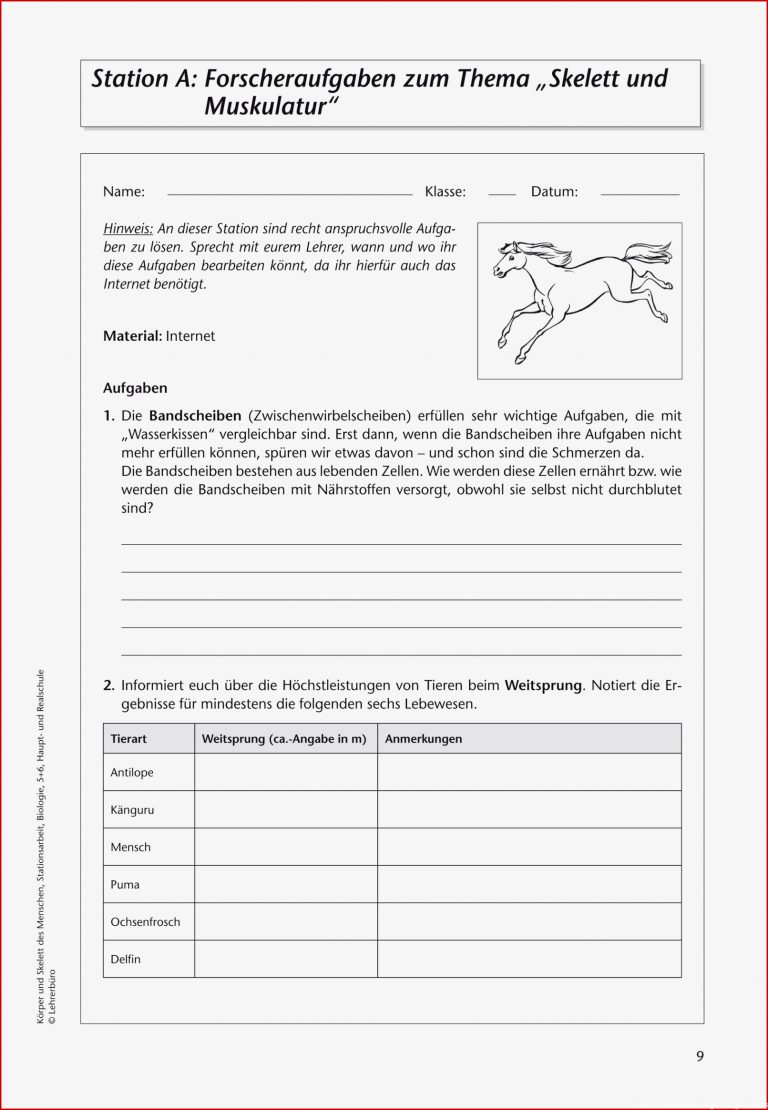 Biologie · Arbeitsblätter · Haupt & Realschule · Lehrerbüro