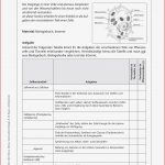 Biologie · Arbeitsblätter · Haupt & Realschule · Lehrerbüro