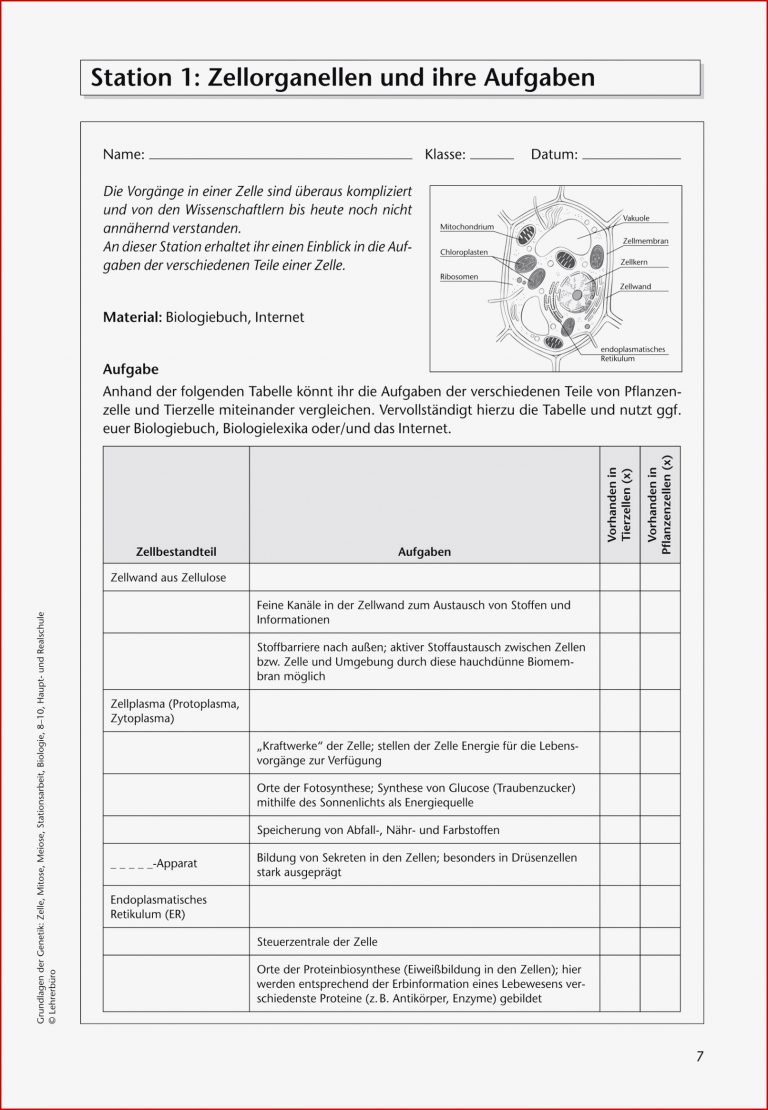 Biologie · Arbeitsblätter · Haupt & Realschule · Lehrerbüro