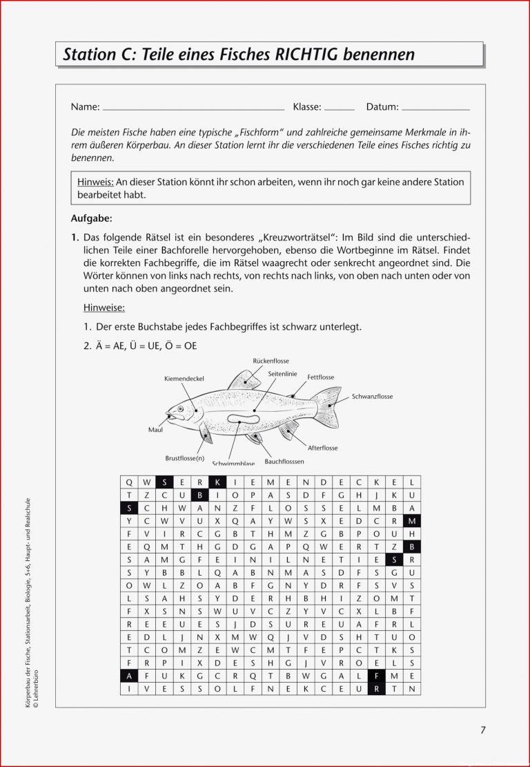 Biologie · Arbeitsblätter · Haupt & Realschule · Lehrerbüro