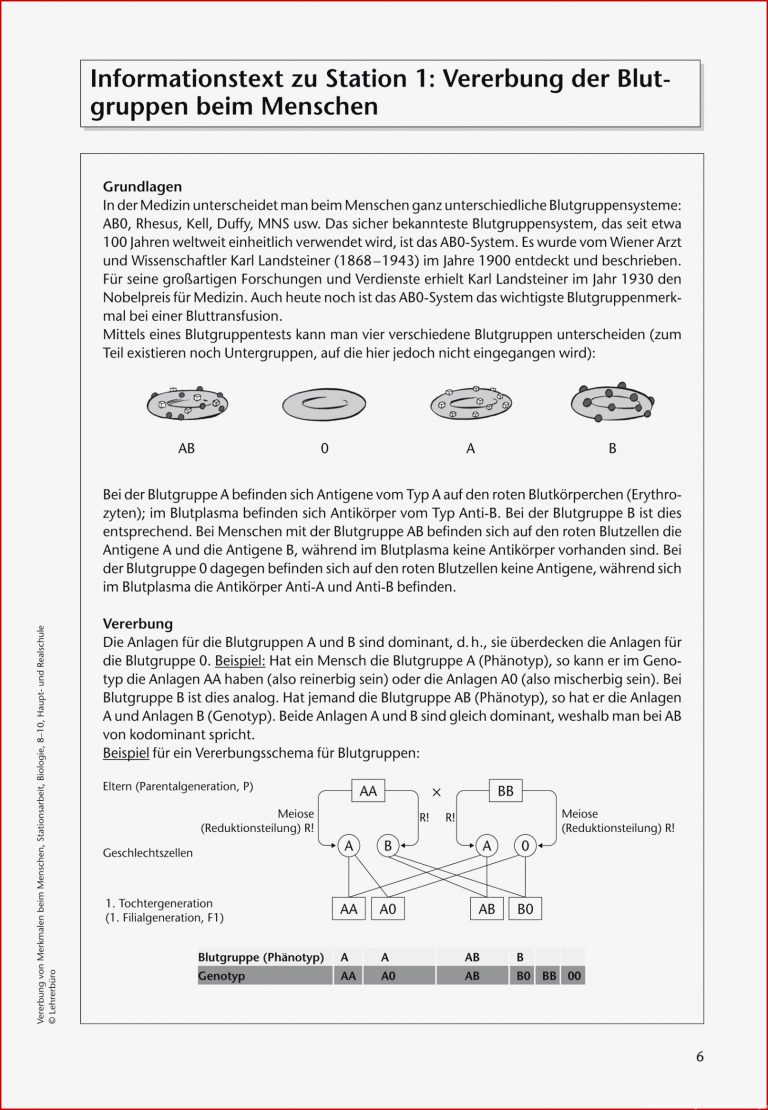 Biologie · Arbeitsblätter · Haupt & Realschule · Lehrerbüro