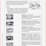 Biologie · Arbeitsblätter · Haupt & Realschule · Lehrerbüro