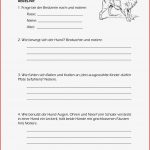 Biologie Arbeitsblätter Klasse 6 Vögel Worksheets