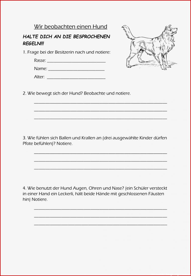 Biologie Arbeitsblätter Klasse 6 Vögel Worksheets