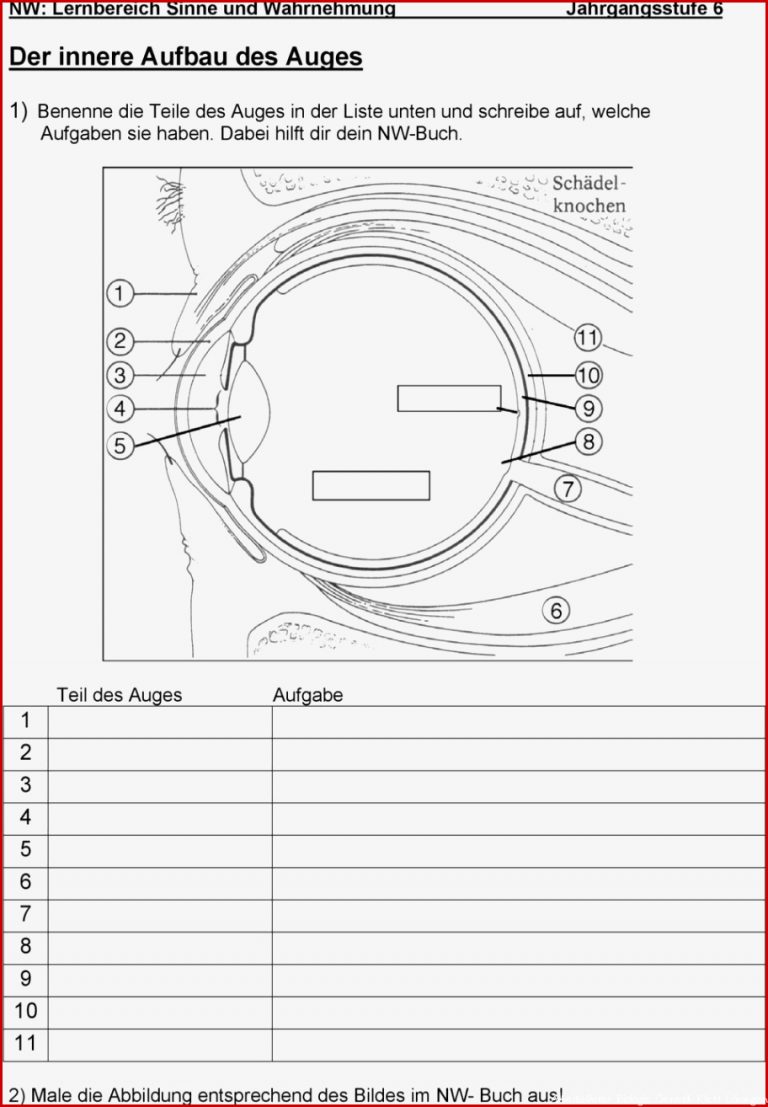 Biologie Arbeitsblätter Pdf Dorothy Meyer Grundschule