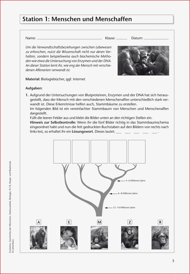 Biologie · Arbeitsblätter · Sekundarstufe I · Lehrerbüro