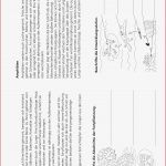 Biologie · Arbeitsblätter · Sekundarstufe I · Lehrerbüro