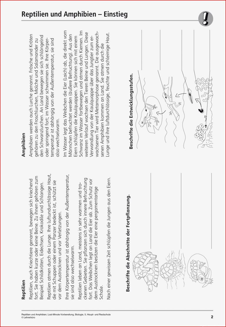 Biologie · Arbeitsblätter · Sekundarstufe I · Lehrerbüro