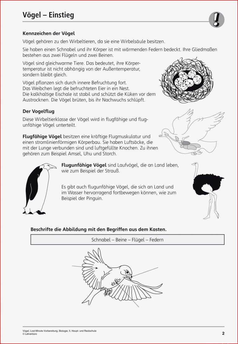 Biologie · Arbeitsblätter · Sekundarstufe I · Lehrerbüro