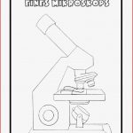 Biologie Arbeitsblatt Mikroskop David song Grundschule