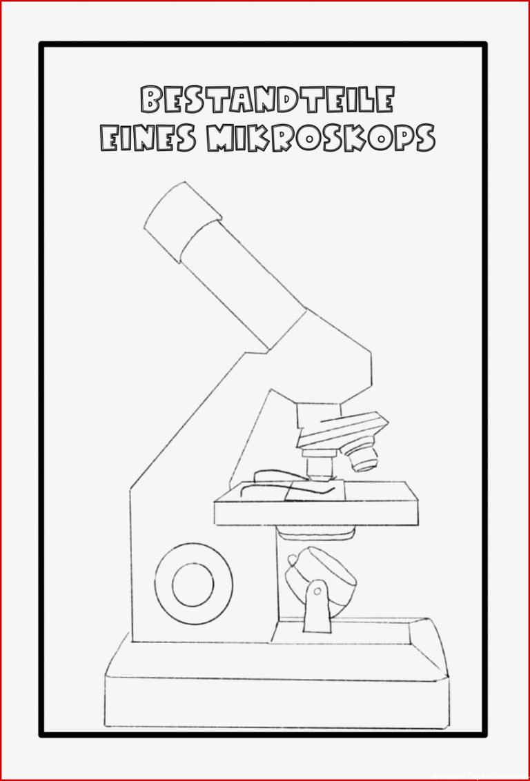 Biologie Arbeitsblatt Mikroskop David Song Grundschule