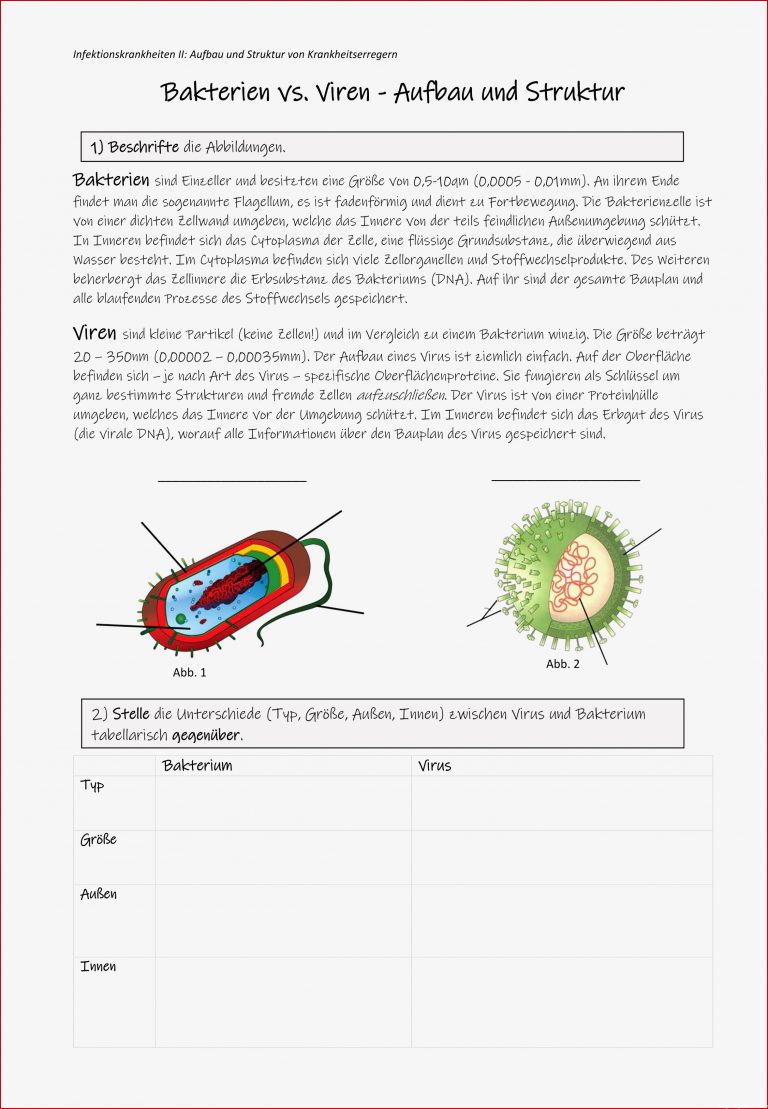 Biologie Auge Arbeitsblätter Worksheets