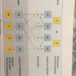 Biologie Blutgruppen Ab U 0 Schule Mathematik Blut