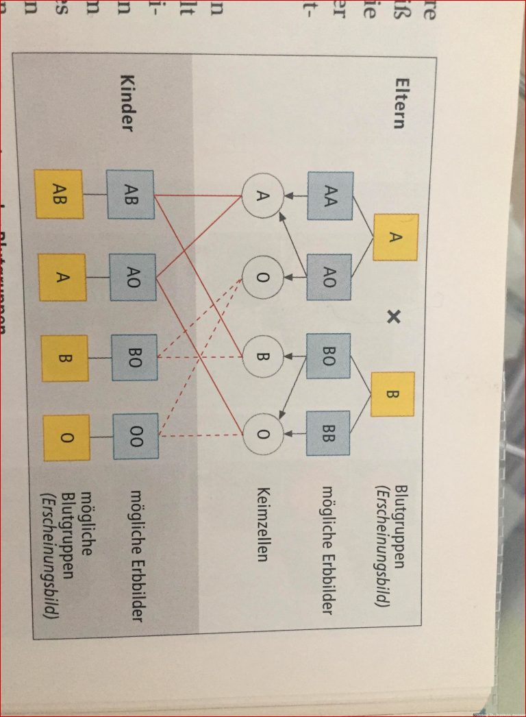 Biologie Blutgruppen Ab U 0 Schule Mathematik Blut