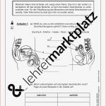 Biologie Der Menschliche Körper Arbeitsblätter